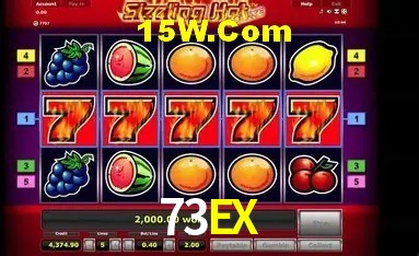 Sistemas de Segurança 73EX