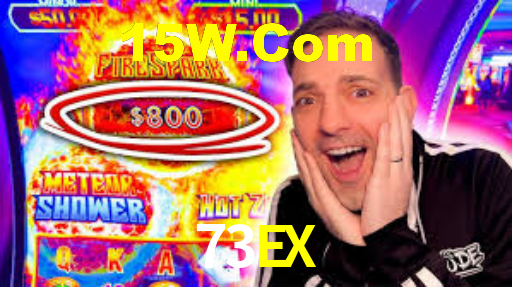 73ex.com