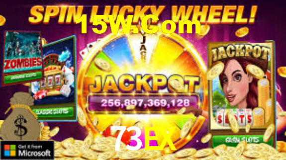 73ex.com